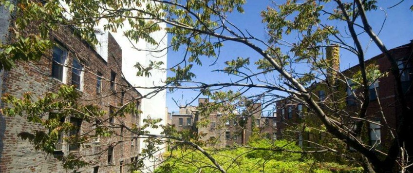 Apartment E 1st New York - Apt 21515